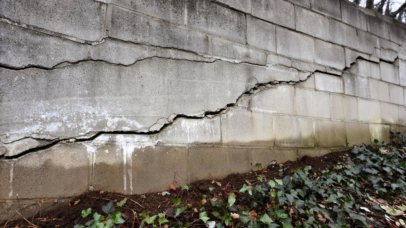 Cracked retaining wall being assessed at a Los Angeles residential property